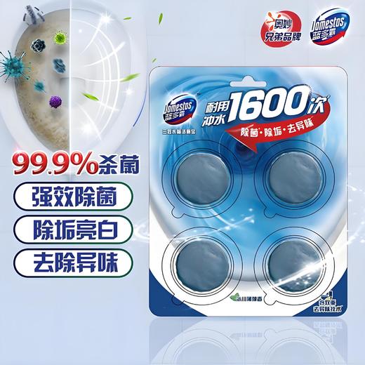 【特价】 蓝多霸三效水箱洁厕宝杀菌去污除异味 商品图1