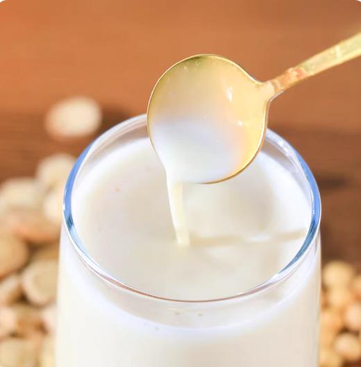 纯素食品黄芪党参豆浆粉无蛋奶早餐植物蛋白冲饮方便 商品图0