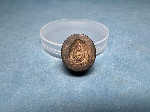 【沉水沉香弥勒吊坠】4.7克 高2.5cm 宽2.3cm 厚度0.9cm | 大梦香堂 商品图0