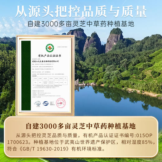 元生泰 紫灵芝茶 4g/袋*5袋/盒*4盒 紫灵芝 袋泡茶礼盒装 药食同源 泡茶煮茶养生茶 商品图8