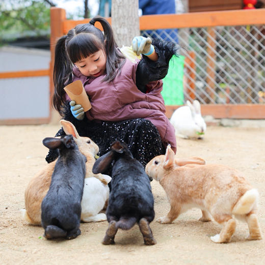 【旗旗Hi森动物城】身高90cm以上儿童及成人均需买票，大小同价，一人一票！70+种动物近距离互动，凭手环当天无限次进出~~ 商品图0