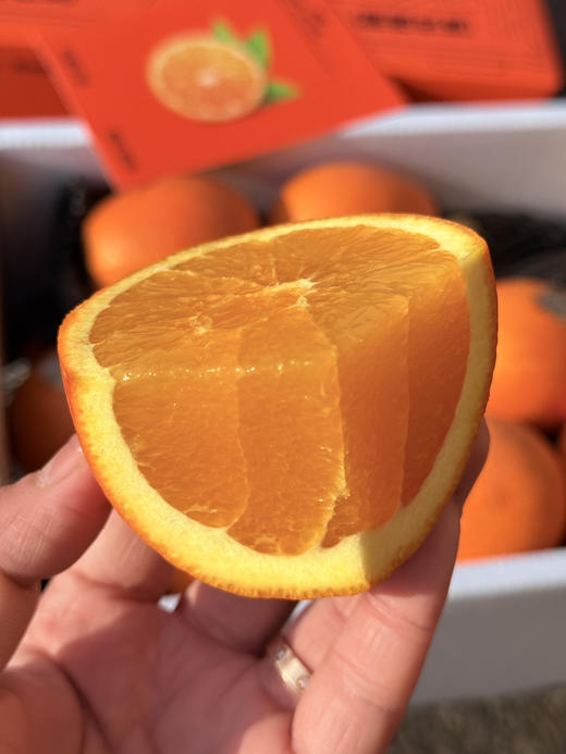 源心爱马仕福橙 商品图2