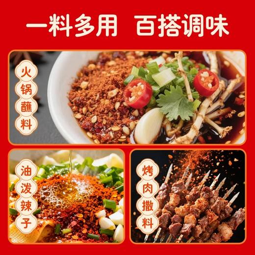 麦德龙 麦臻选 辣椒面 10g*20 商品图2