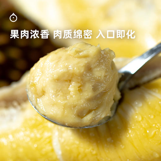 企鹅市集|马来西亚 猫山王榴莲 液氮冷冻整颗榴莲 浓郁香甜 商品图5