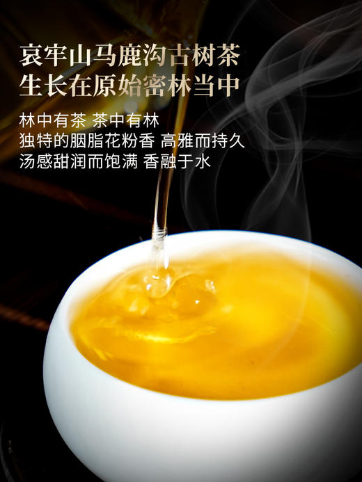 【哀牢山单株】2026年春茶预售0利润引爆茶圈，性价比之巅百元价格千元品质，秘境深处古树茶357克/饼 商品图7