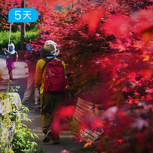 浙东唐诗之路｜隐逸轻徒32公里 登顶天姥山赏日落 国清寺 5日 商品图2