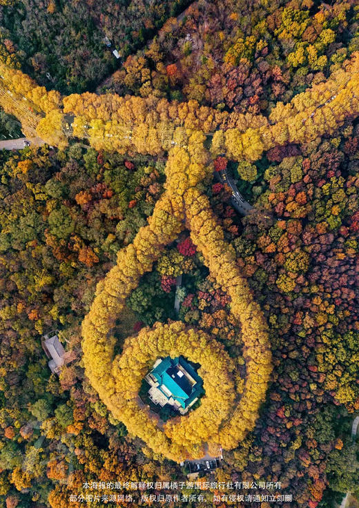 【霞客行•仙侠浙东南】纯玩无必消|双飞6天深度游 商品图1