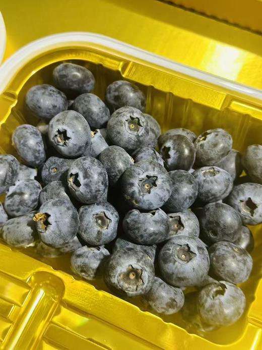 云南L25花香蓝莓20mm+【250克*2盒装】～果粉好，硬度好，非常好吃的一款蓝莓，脆甜有果香，甜甜的小糖豆，嘎嘎脆。 商品图1