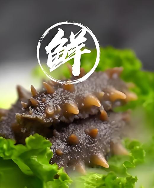 【活动：3盒送1盒 直降30】即食辽宁大连海参-大连海参的顶级货 清仓货 商品图1