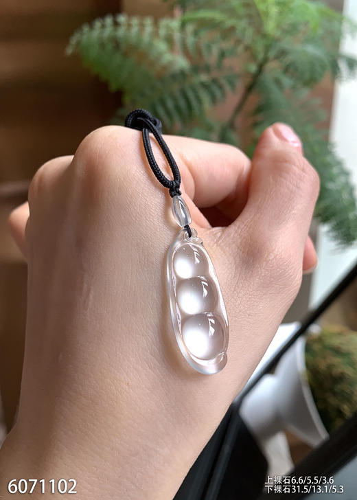 玻璃种福豆裸石。 79999【6071102】 商品图1