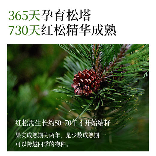 全食物日记 有机松籽油100mL 商品图1