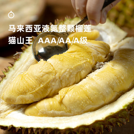 企鹅市集|马来西亚 猫山王榴莲 液氮冷冻整颗榴莲 浓郁香甜 商品图0