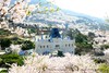 3月24日【韩国】三城追樱，釜山樱花节、首尔宫廷樱花、济州樱花大道9天（广州直飞） 商品缩略图10
