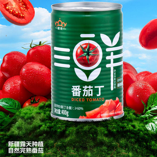【春节已停发，节后26号开始陆续发货】【2025年新货】【京东/顺丰】新疆冠农番茄丁400g 绿色食品认证 新鲜去皮西红柿 番茄 商品图1