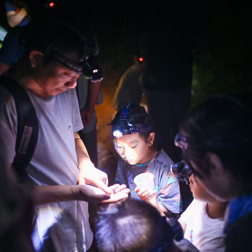 亲子自然探索 | 云南西双版纳雨林昆虫博物馆+夜探灯诱观察！中科院专业昆虫老师带队，每天可发，适合亲子出行！五一端午路线提前预定！ 商品图2