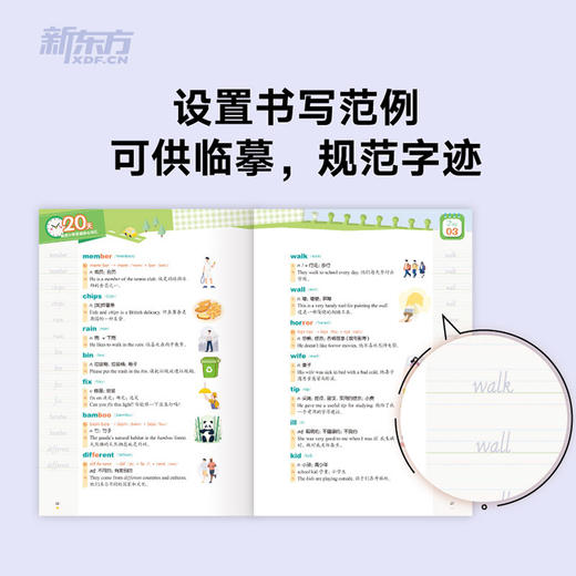 20天背完小学英语核心词汇 商品图3