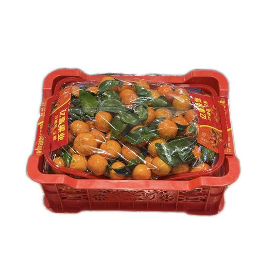 2026砂糖橘9.5斤左右带箱 商品图0