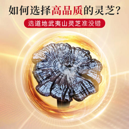 元生泰 紫灵芝茶 4g/袋*5袋/盒*4盒 紫灵芝 袋泡茶礼盒装 药食同源 泡茶煮茶养生茶 商品图3