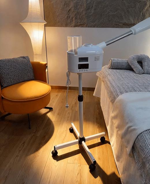 DT-338蒸脸器(热喷机) 商品图0