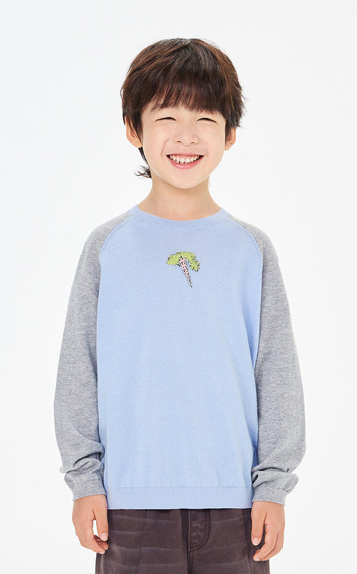 jnby   26年春款   长袖套头针织衫  1Q2313520 商品图3