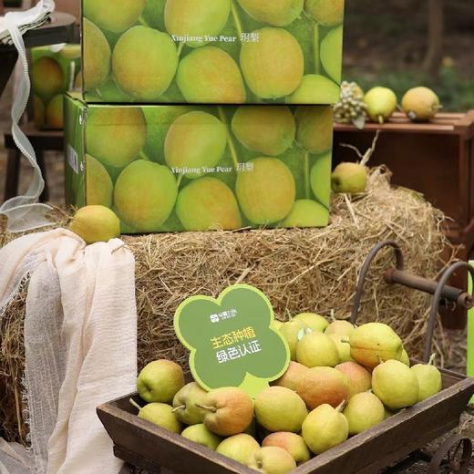 量贩装！特级玥梨～新疆库尔勒香梨【约14斤】~口感酥脆甜，水滋滋带有清香。 商品图5