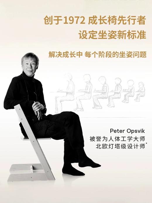 Stokke餐椅配件适用于TrippTrapp成长椅428501 650080 651301 526101 540839 商品图4
