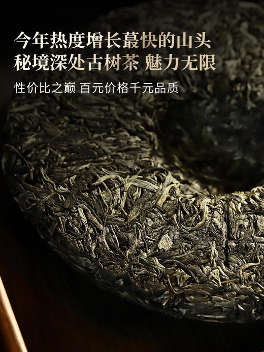 【哀牢山单株】2026年春茶预售0利润引爆茶圈，性价比之巅百元价格千元品质，秘境深处古树茶357克/饼 商品图6