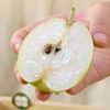 量贩装！特级玥梨～新疆库尔勒香梨【约14斤】~口感酥脆甜，水滋滋带有清香。 商品缩略图8