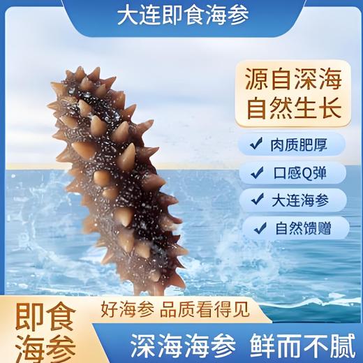【活动：3盒送1盒 直降30】即食辽宁大连海参-大连海参的顶级货 清仓货 商品图0