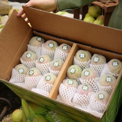 量贩装！特级玥梨～新疆库尔勒香梨【约14斤】~口感酥脆甜，水滋滋带有清香。 商品图4