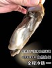 海阳麻姑岛.深海野生蚝 商品缩略图0