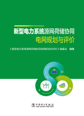 新型电力系统源网荷储协同电网规划与评价
