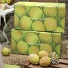 量贩装！特级玥梨～新疆库尔勒香梨【约14斤】~口感酥脆甜，水滋滋带有清香。 商品缩略图3