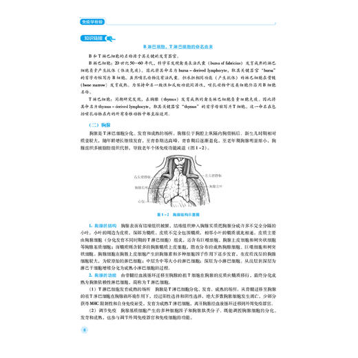 免疫学检验 第2二版 全国高职高专医学检验技术专业规划教材(第二轮)刘琳琳 张业霞 主编 供医学检验技术专业用中国医药科技出版社 商品图4