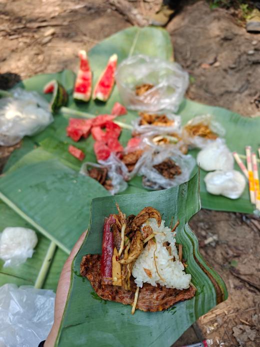 【铜箐河高杆预售】天花板，2026年铜箐河的高杆，根据茶农往年采摘经验，今年预计可以采摘5公斤左右干茶。 商品图4