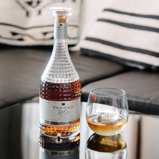桃乐丝 20 白兰地 Torres 20 商品图3