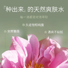 【春节正常发货】Organic Earth有机地球玫瑰纯露 纯正大马士革玫瑰 轻盈滋润 100ml/瓶 商品缩略图3