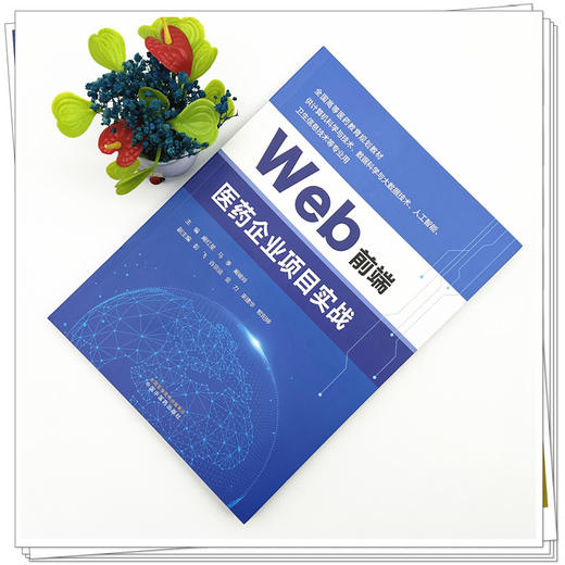 Web 前端医药企业项目实战 阚红星 马季 阚峻岭 主编 全国高等医药教育规划教材 中国中医药出版社 商品图1
