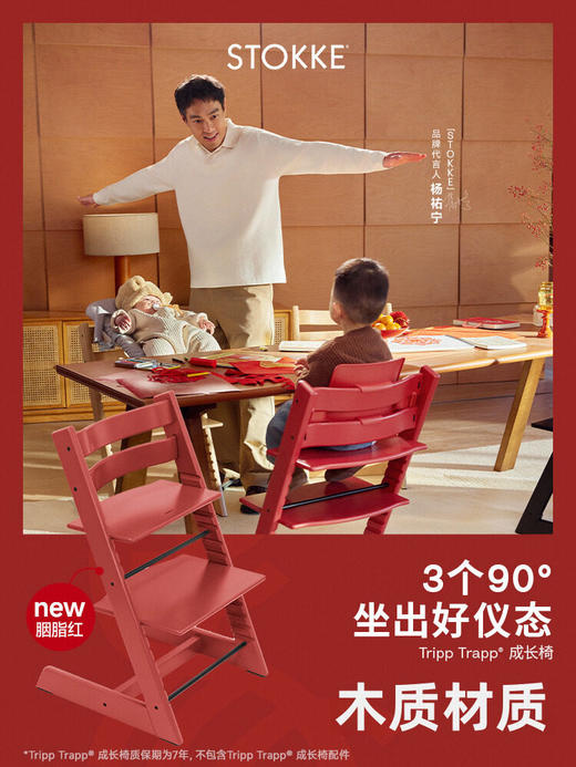 【杨祐宁同款】StokkeTrippTrapp源自欧洲儿童成长椅宝宝桌椅餐椅100136 商品图0