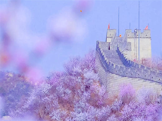 3.28第十一届【黄花城水长城国际徒步大会】暨第六届长城彩跑节 商品图5