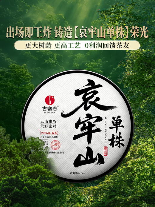 【哀牢山单株】2026年春茶预售0利润引爆茶圈，性价比之巅百元价格千元品质，秘境深处古树茶357克/饼 商品图9