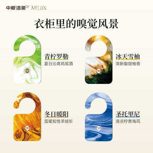 （广东广播商城专属）【中顺洁柔】大师香氛MIUIX（青柠罗勒/圣托里尼/冬日暖阳/冰天雪柚）香氛挂片 商品图1