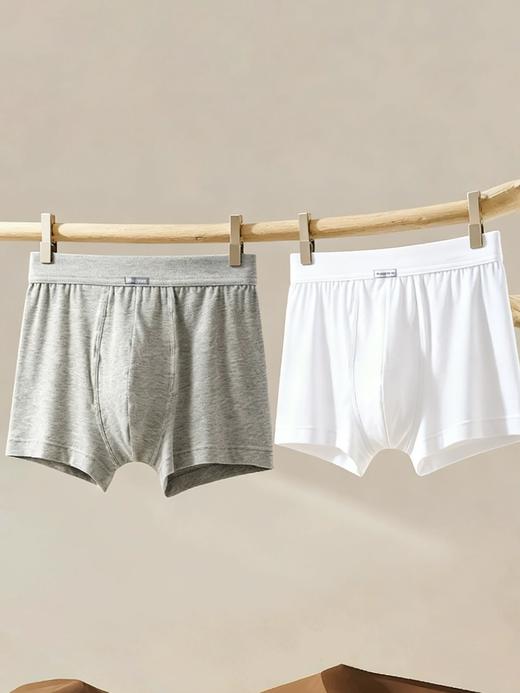 【超值纯棉3条装】SCHIESSER舒雅内裤男士纯棉全棉透气简约宽松版大码四角短裤3条装平角裤35/5653T 商品图1