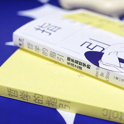 【樊登好书】哲学的指引 商品图2