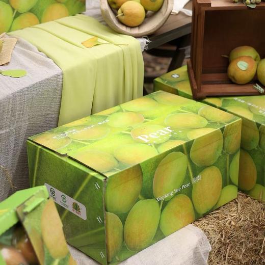量贩装！特级玥梨～新疆库尔勒香梨【约14斤】~口感酥脆甜，水滋滋带有清香。 商品图2