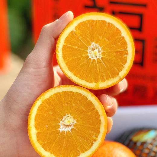 源心爱马仕福橙 商品图0