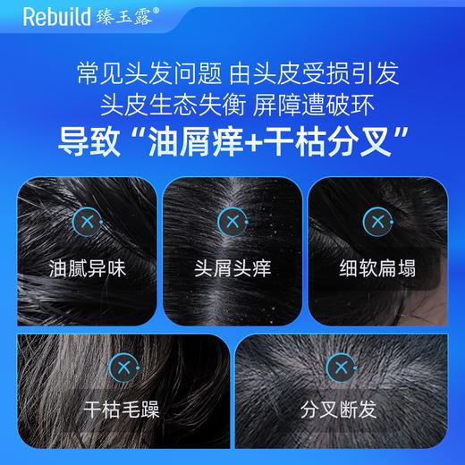 臻玉露Rebuild生姜氨基酸润养洗发露+护发精华乳 商品图2