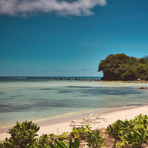 4晚/5晚【塞舌尔ClubMed度假村】精选印度洋奢华度假村，丰富多元的当地探索，享一价全包每日三餐吃喝玩乐、瑜伽、帆船出海等休闲活动，领略海岛极致魅力~ 商品图1