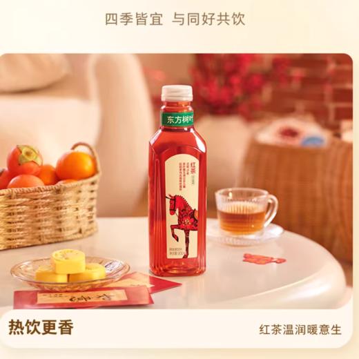 东方树叶 红茶 原味茶饮料900ml 商品图2
