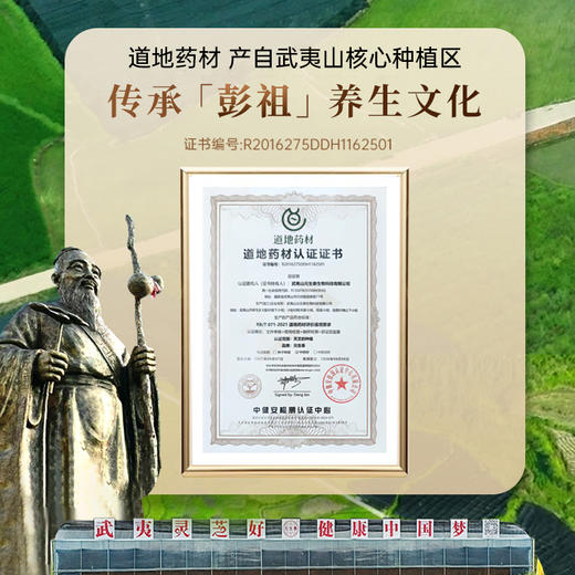 元生泰 紫灵芝茶 4g/袋*5袋/盒*4盒 紫灵芝 袋泡茶礼盒装 药食同源 泡茶煮茶养生茶 商品图7